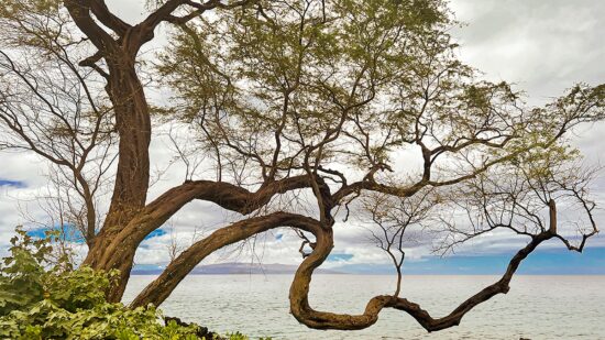 1761767417-2339-5982-lxb_photou4EwoMGrD9klxb_photo-