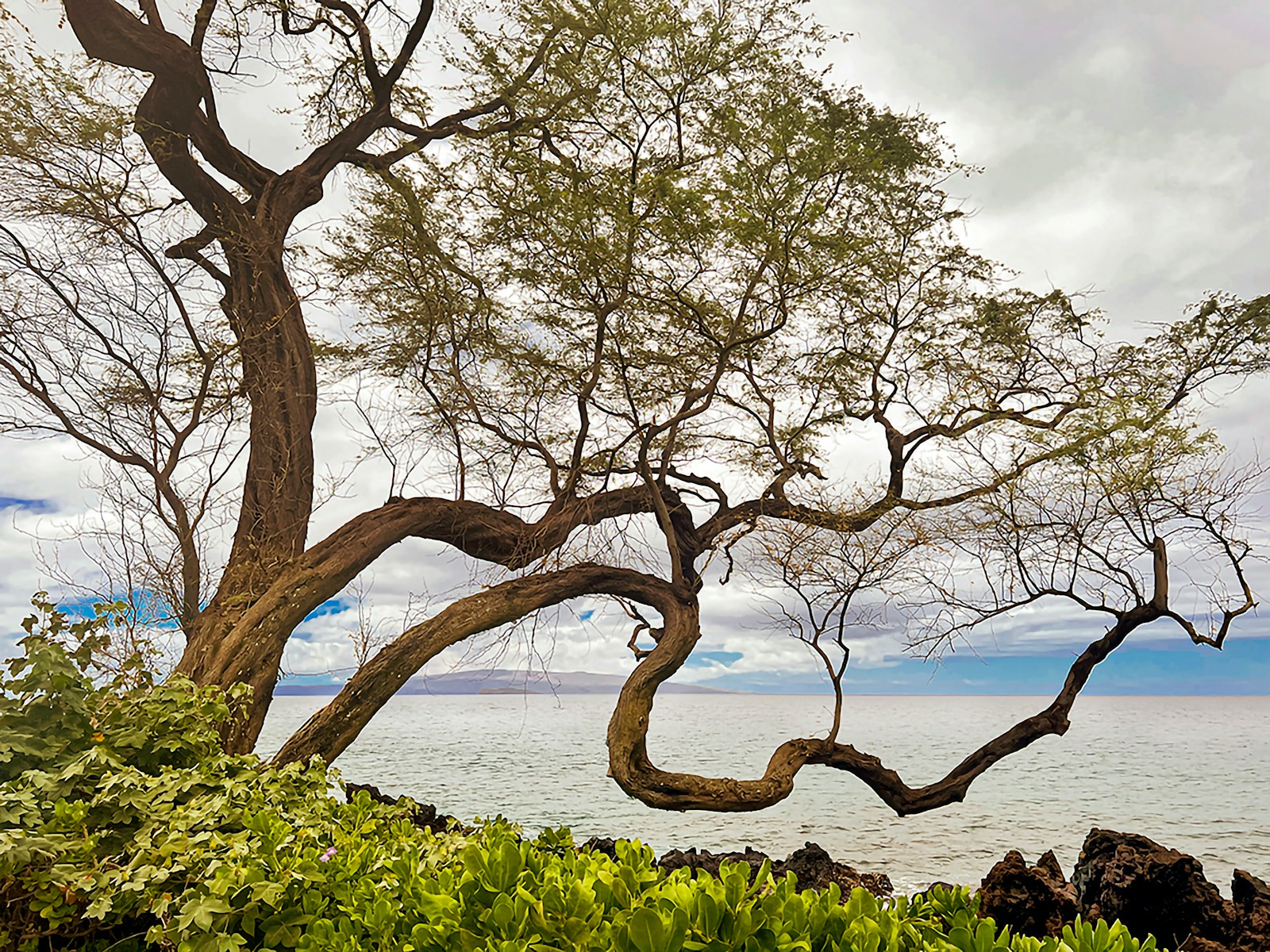 1761767417-2339-5982-lxb_photou4EwoMGrD9klxb_photo-